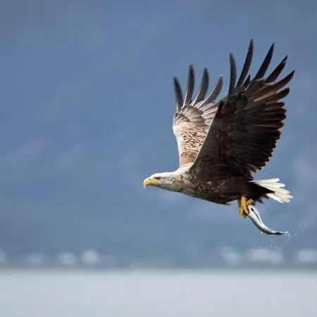 Bestemors Hus Ca 3mil Utenfor Sent Dom wakacyjny