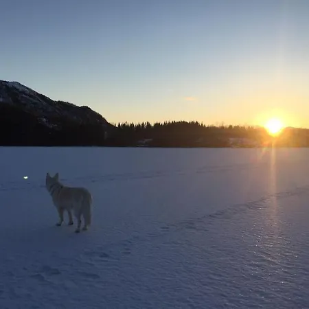 Bestemors Hus Ca 3mil Utenfor Sent Dom wakacyjny *