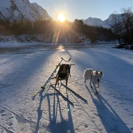 Bestemors Hus Ca 3mil Utenfor Sent Sortland